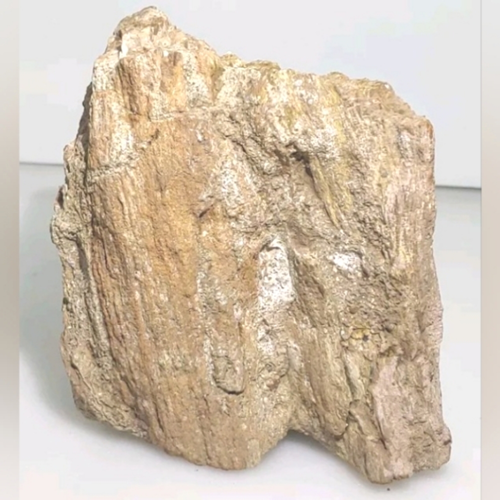 Petrified Wood ~ Unpolished ~ Arizona ~ 6 Pounds